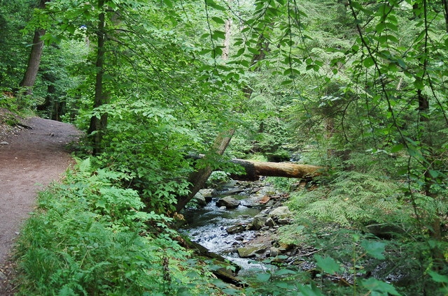 creek